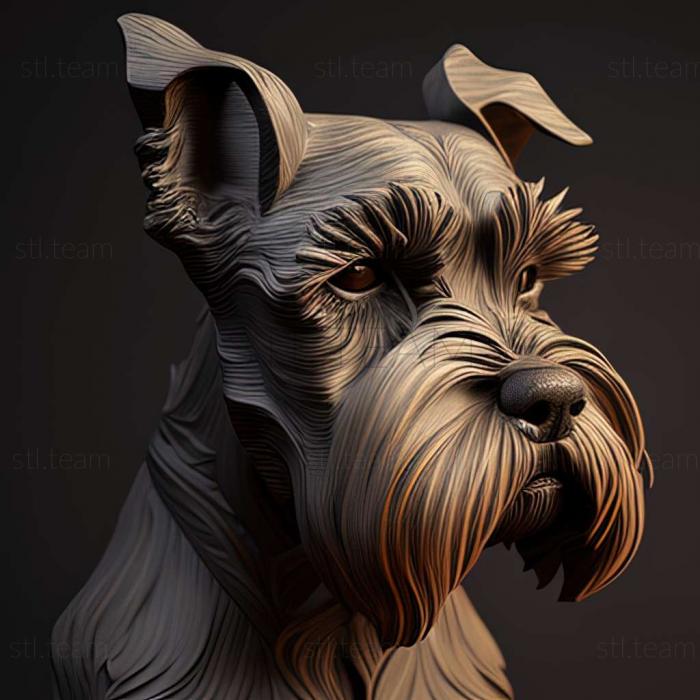 Zwergschnauzer dog